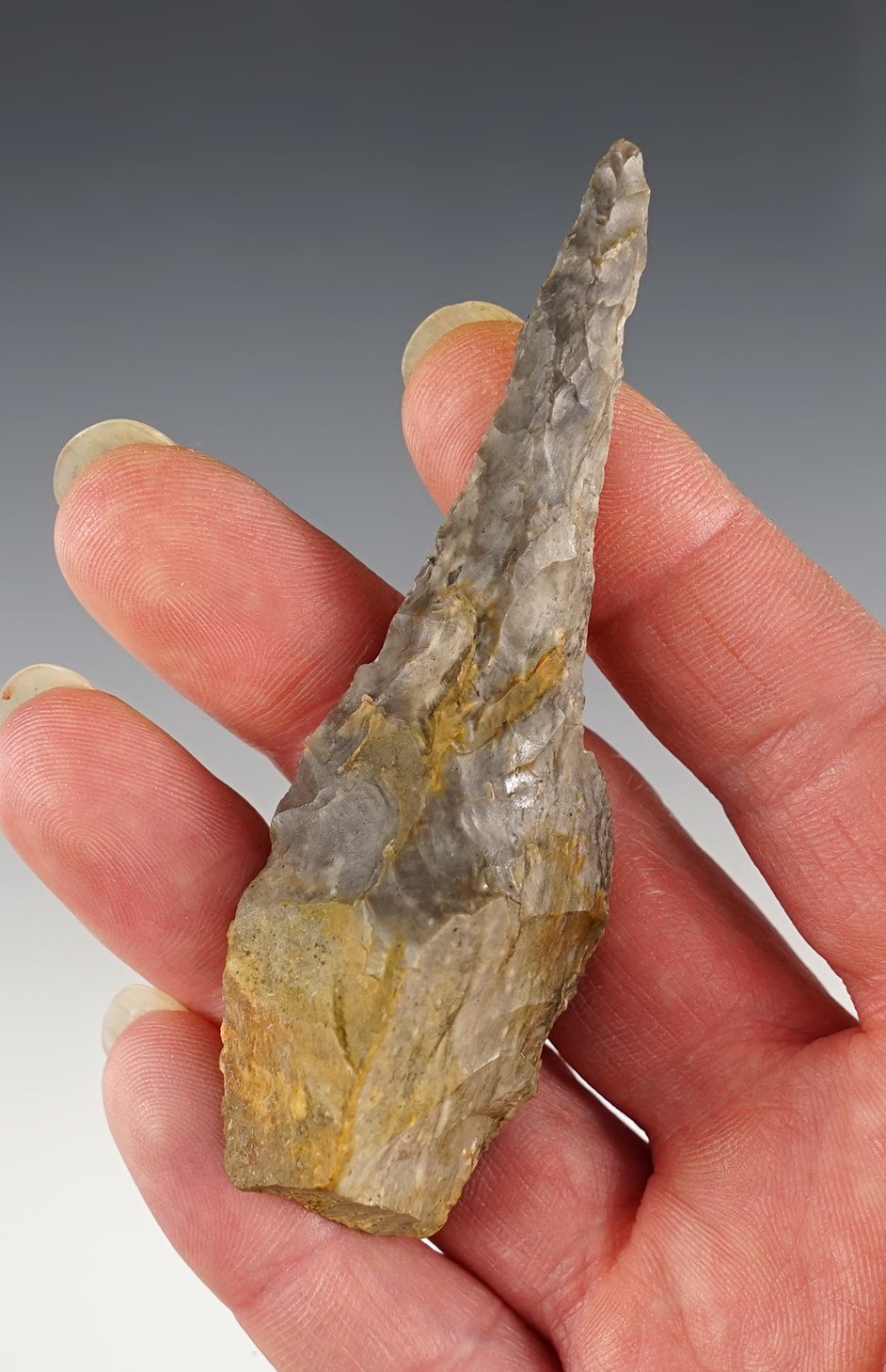 Main artifact image