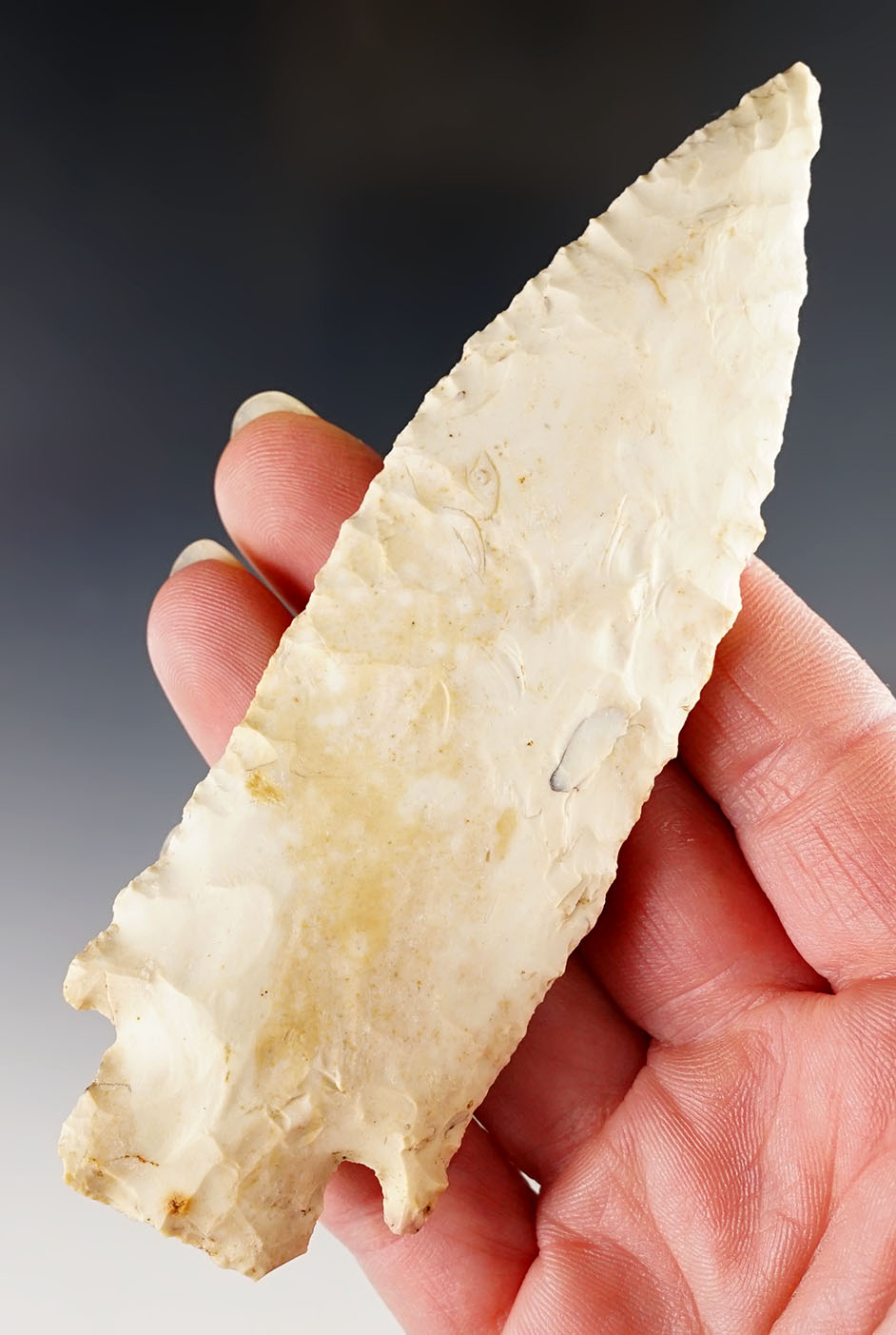 Main artifact image
