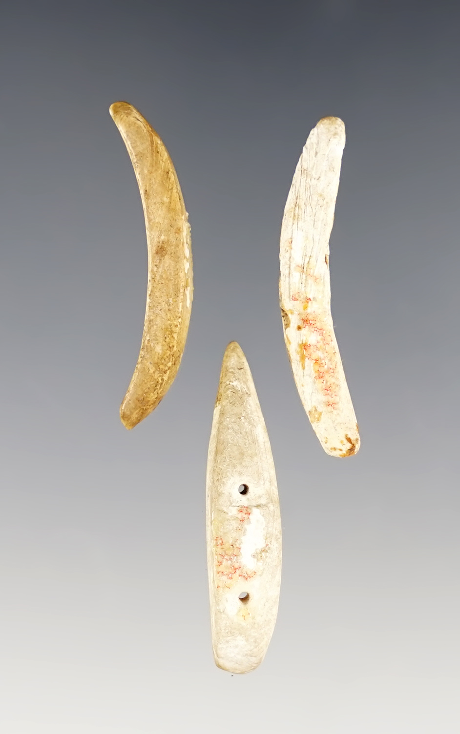 Main artifact image