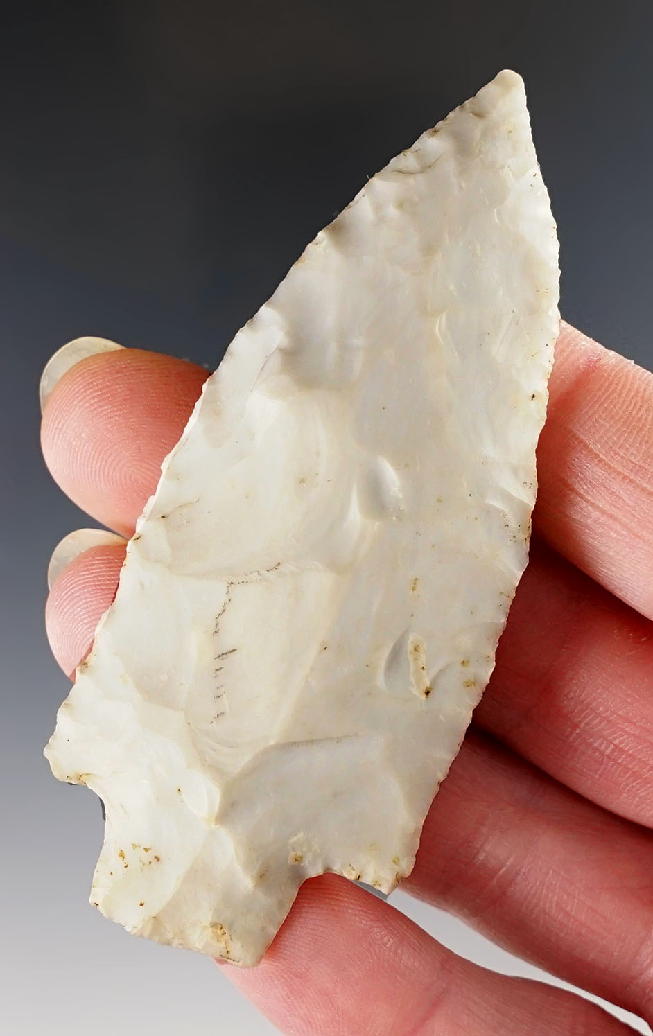 Main artifact image