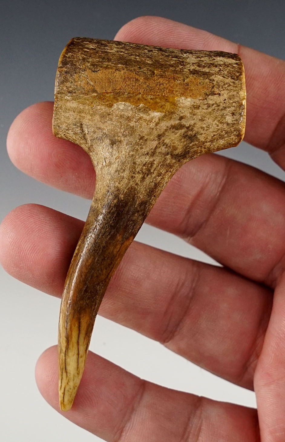 Main artifact image