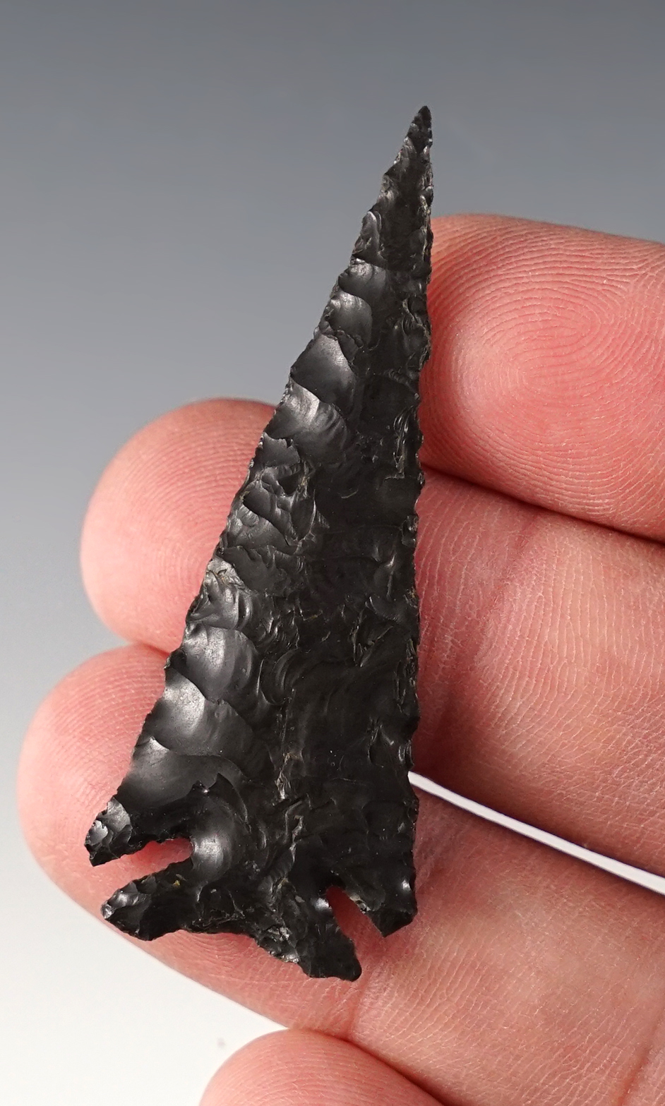 Main artifact image