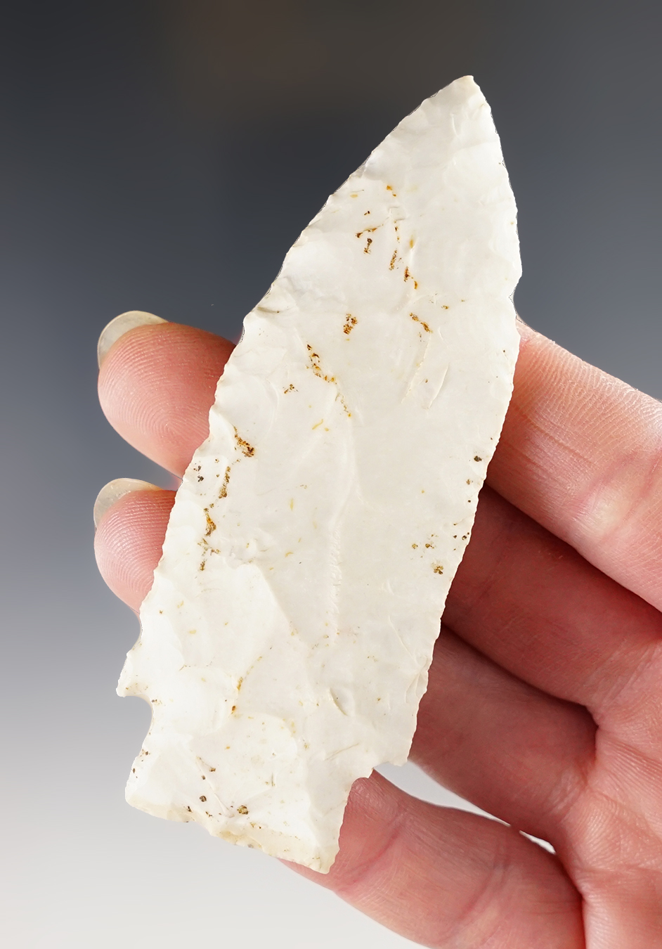Main artifact image