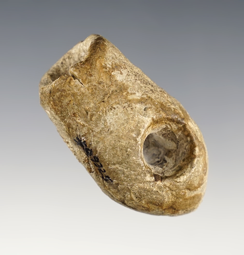 Main artifact image