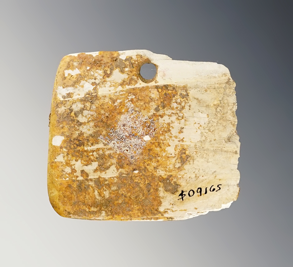 Main artifact image