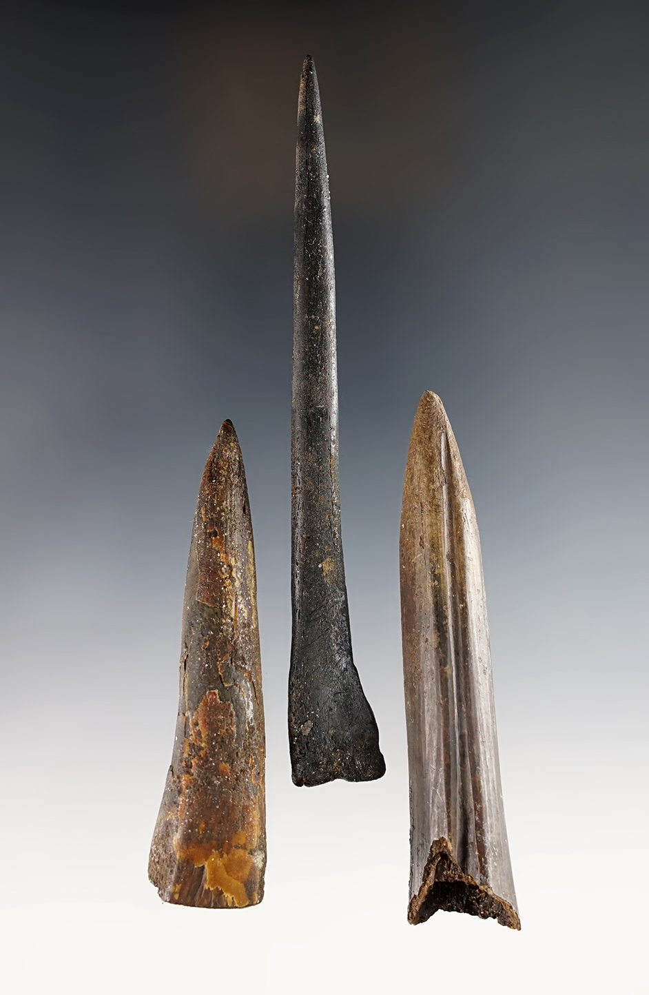 Main artifact image