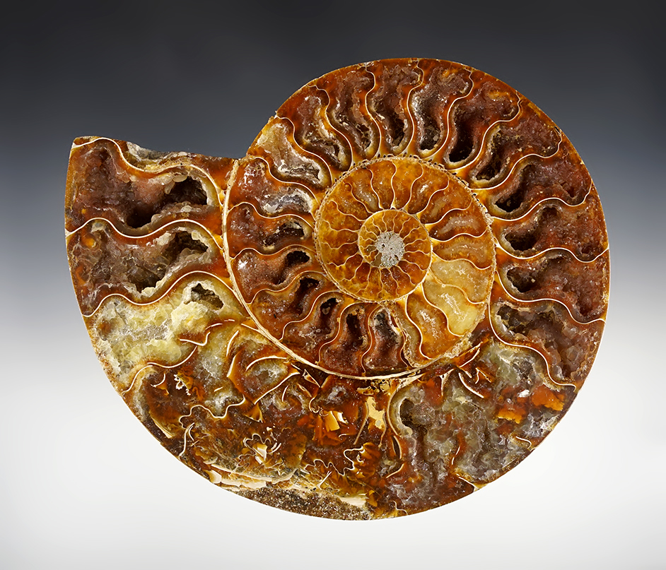 Main artifact image