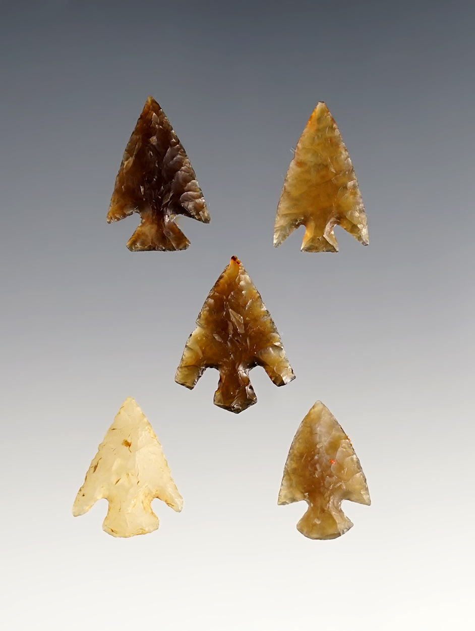 Main artifact image