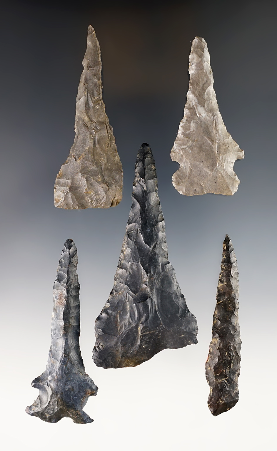 Main artifact image