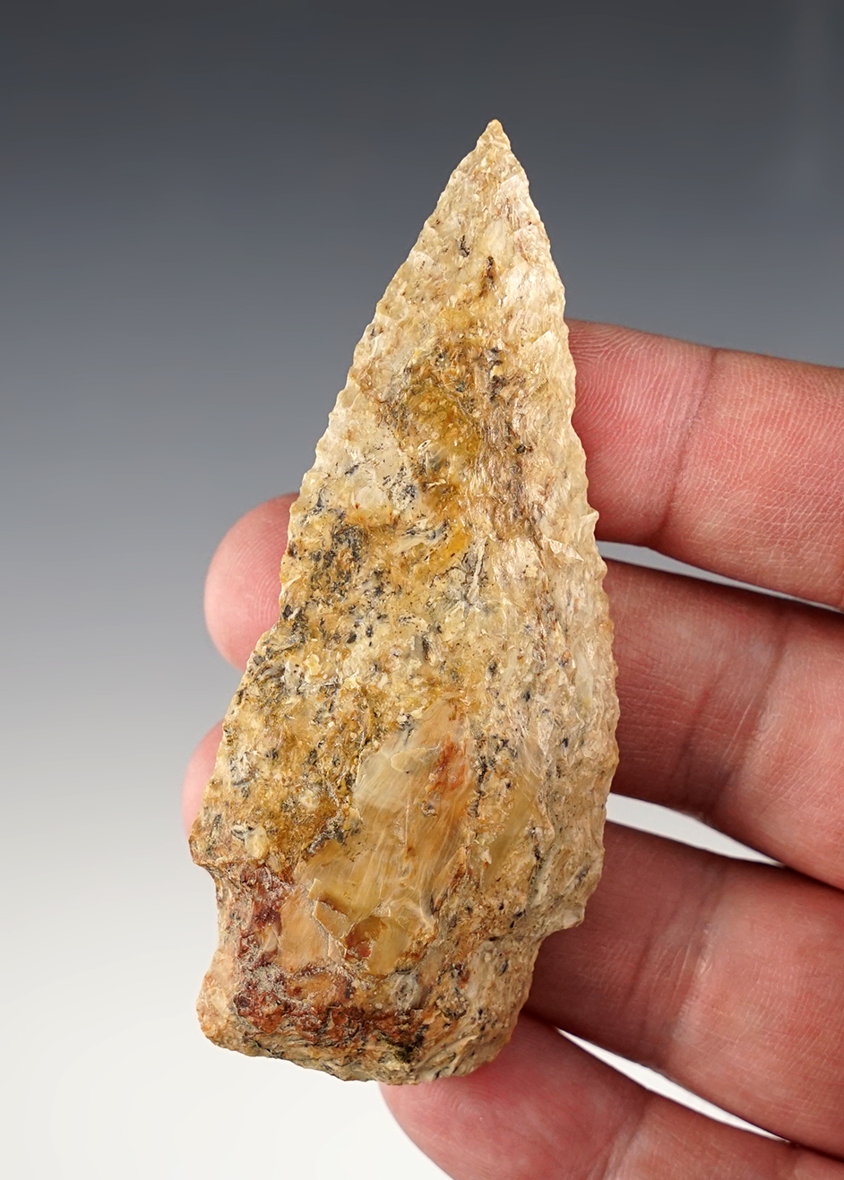 Main artifact image