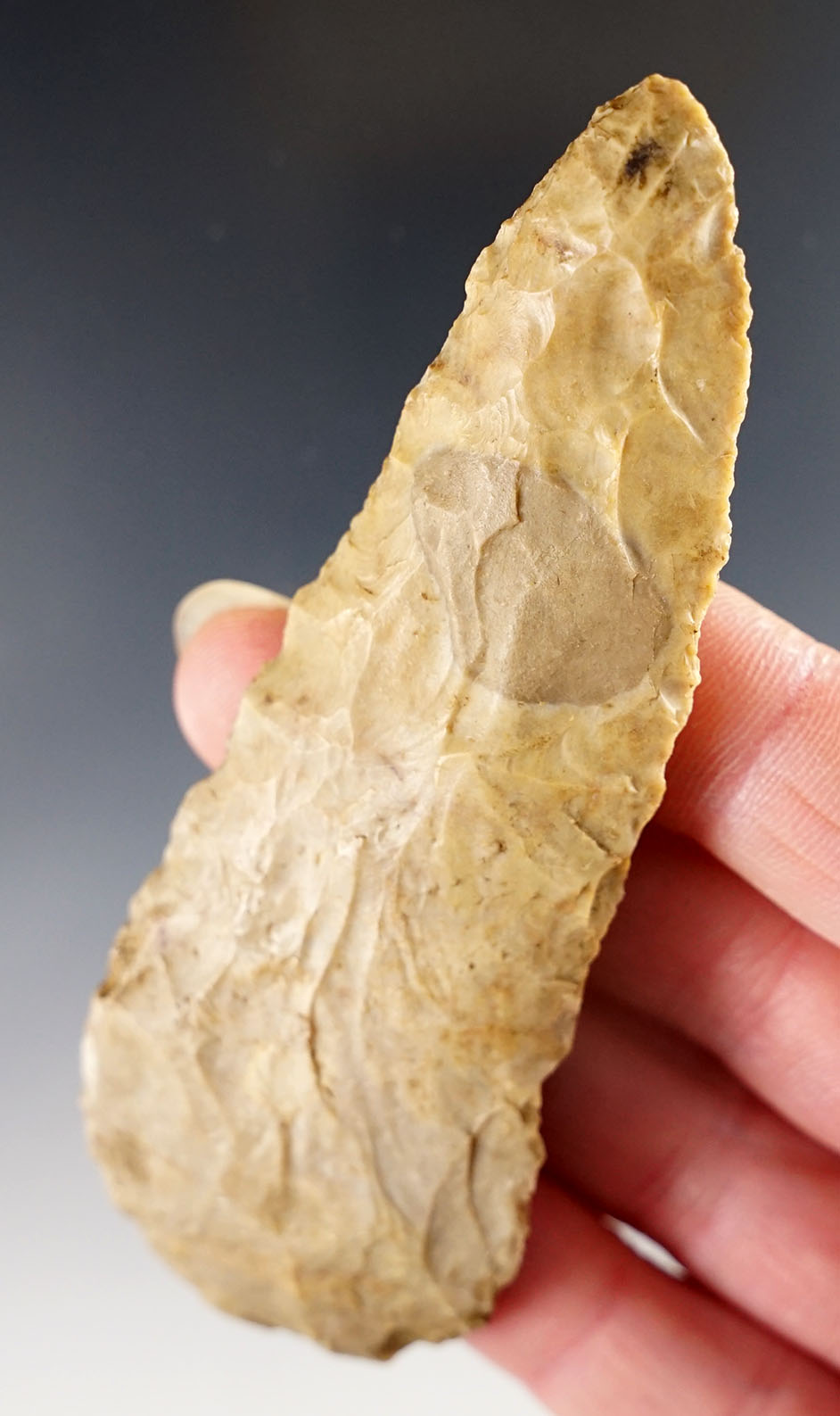 Main artifact image