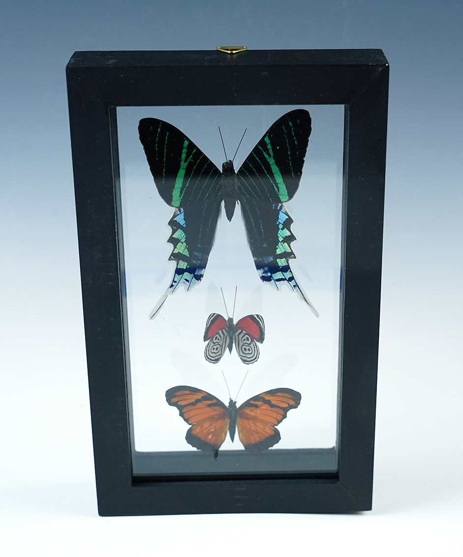 Main artifact image