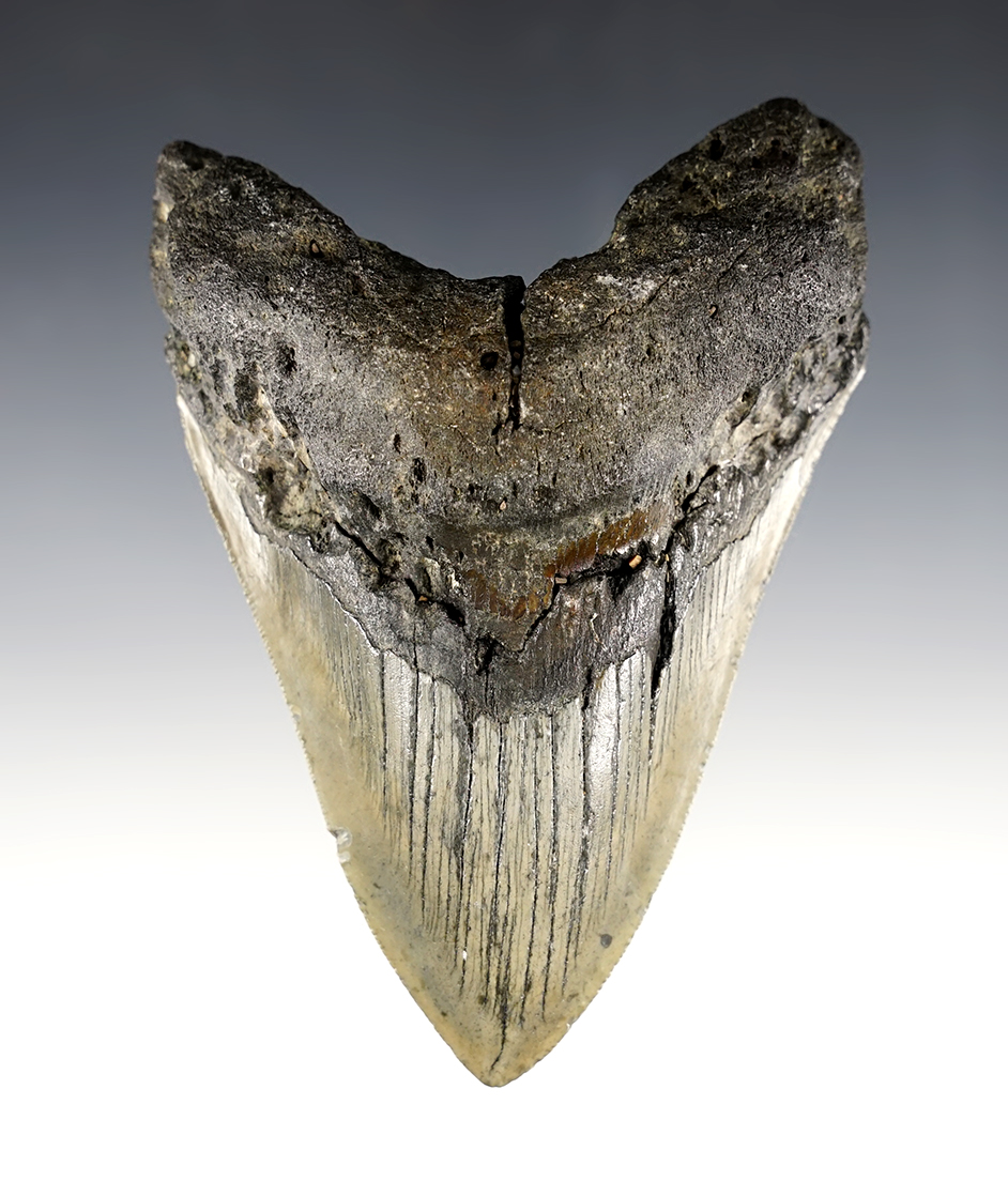 Main artifact image