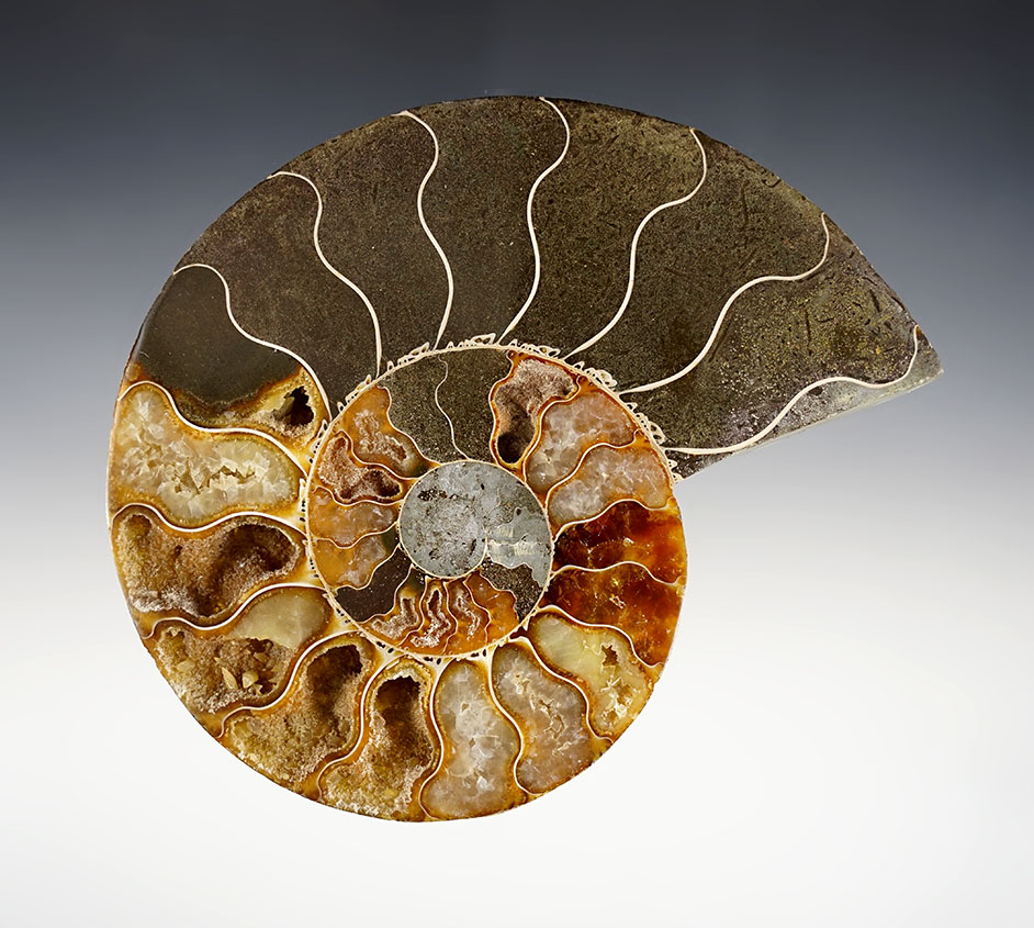 Main artifact image
