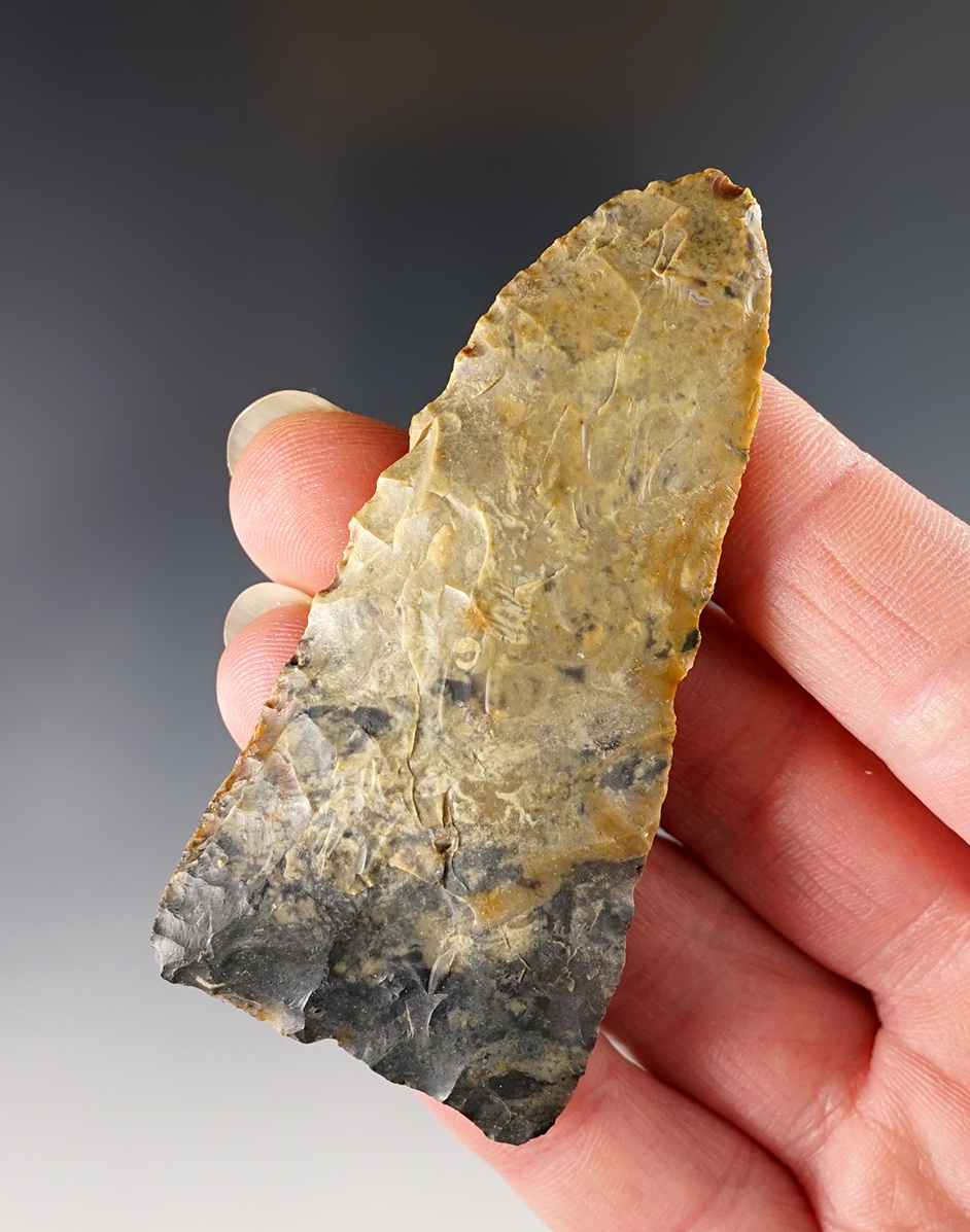 Main artifact image