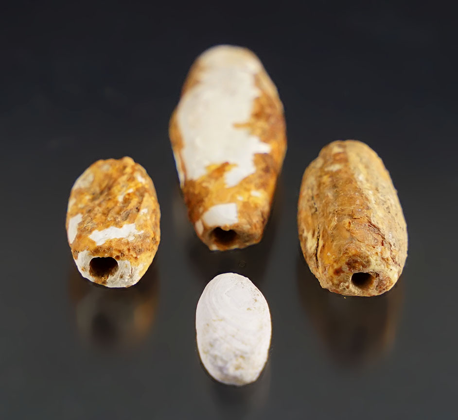 Main artifact image