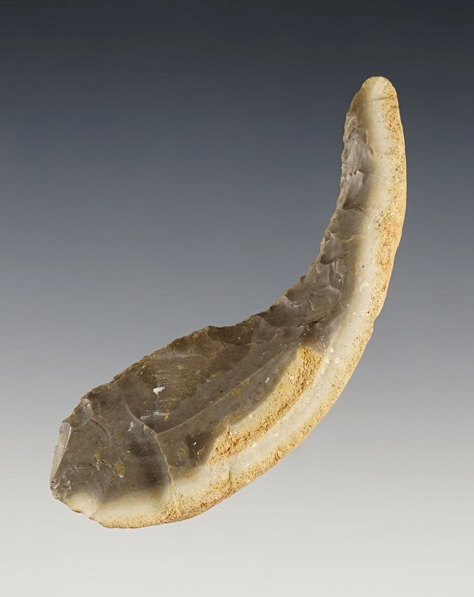 Main artifact image