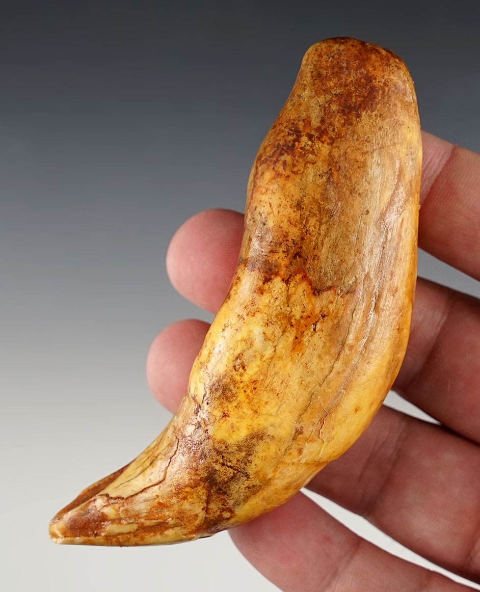 Main artifact image