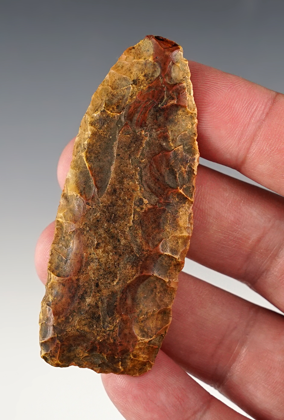 Main artifact image