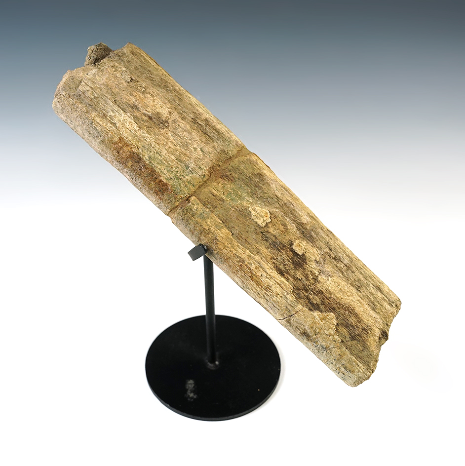 Main artifact image