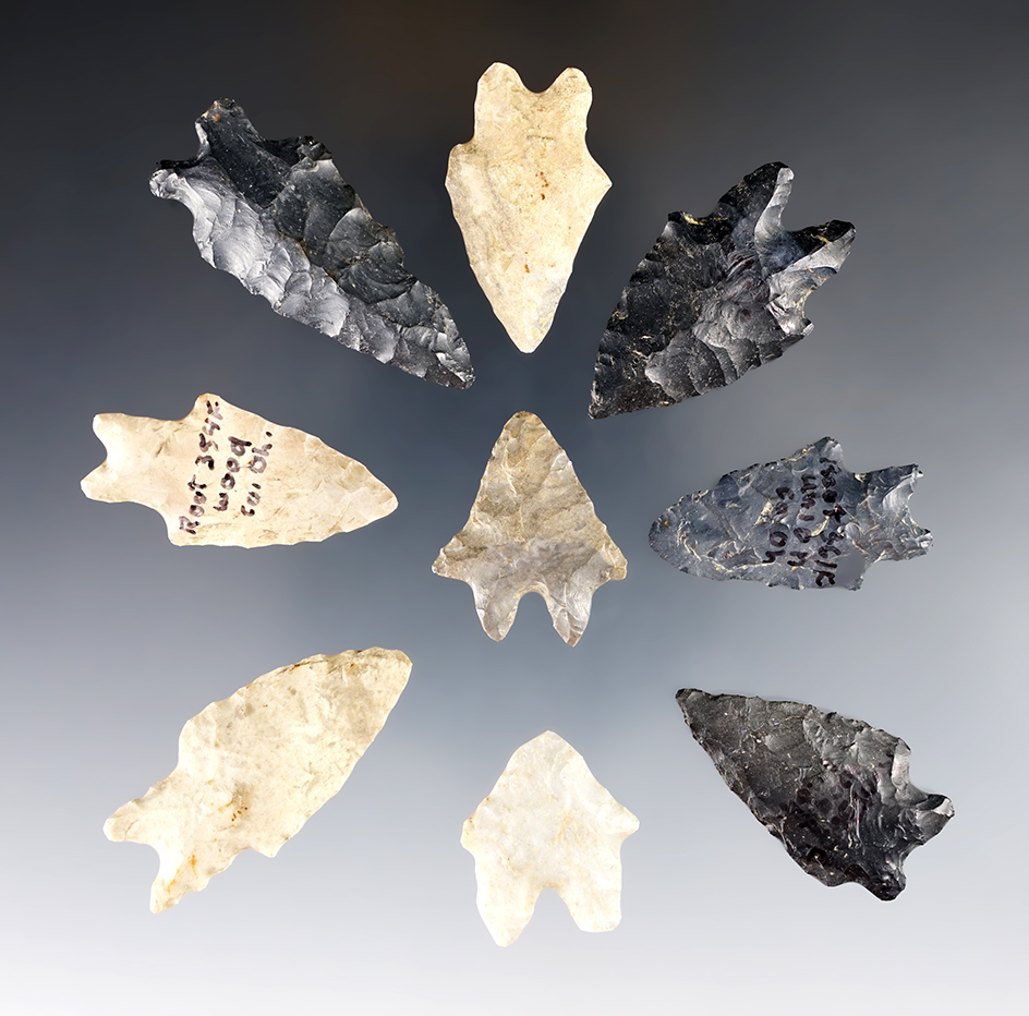 Set of 9 Bifurcate Base Points found in Ohio. Largest is 1 13/16".