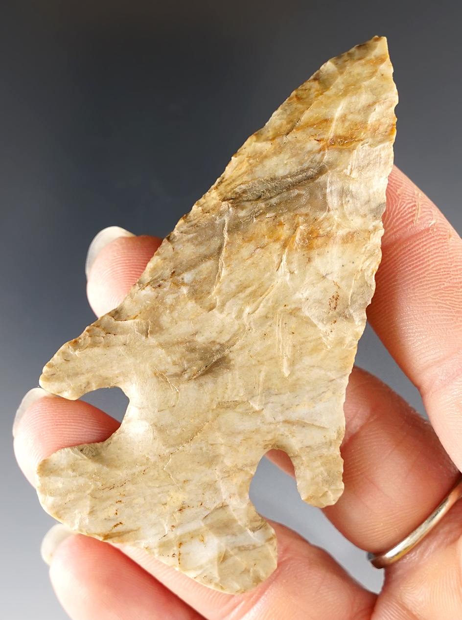 3 1/8" Archaic Bevel found in Franklin Co., Ohio. Pictured in "Who's Who" #10, page 177. Ex. Mike Kiel 