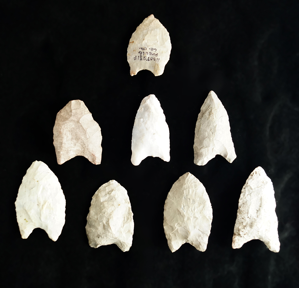 Set of 8 Paleo Arrowheads found in Ohio, largest is 2".