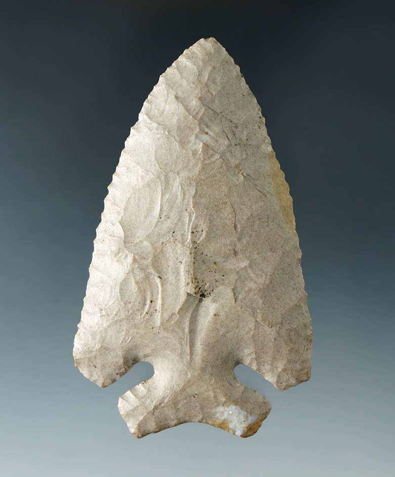 Excellent style on this 3 1/2" Thebes with nice clipped ears, found in Delaware Co., Ohio. Ex. Wehrl