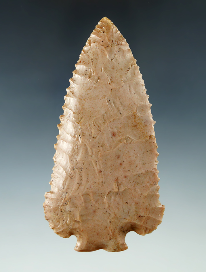 Heavily serrated 4 1/16" Archaic Decatur Fracture Base - Carter Cave Flint, Southern Ohio. COA.