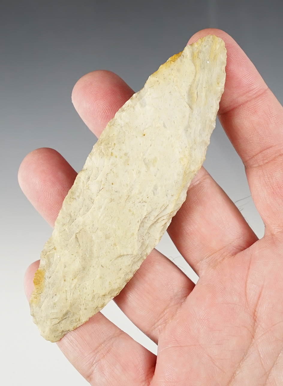 Main artifact image