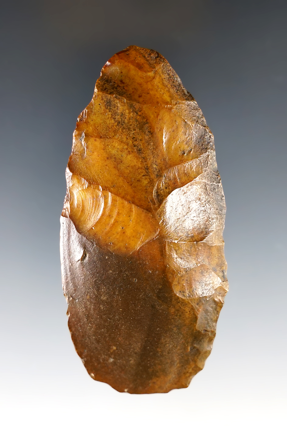 Main artifact image
