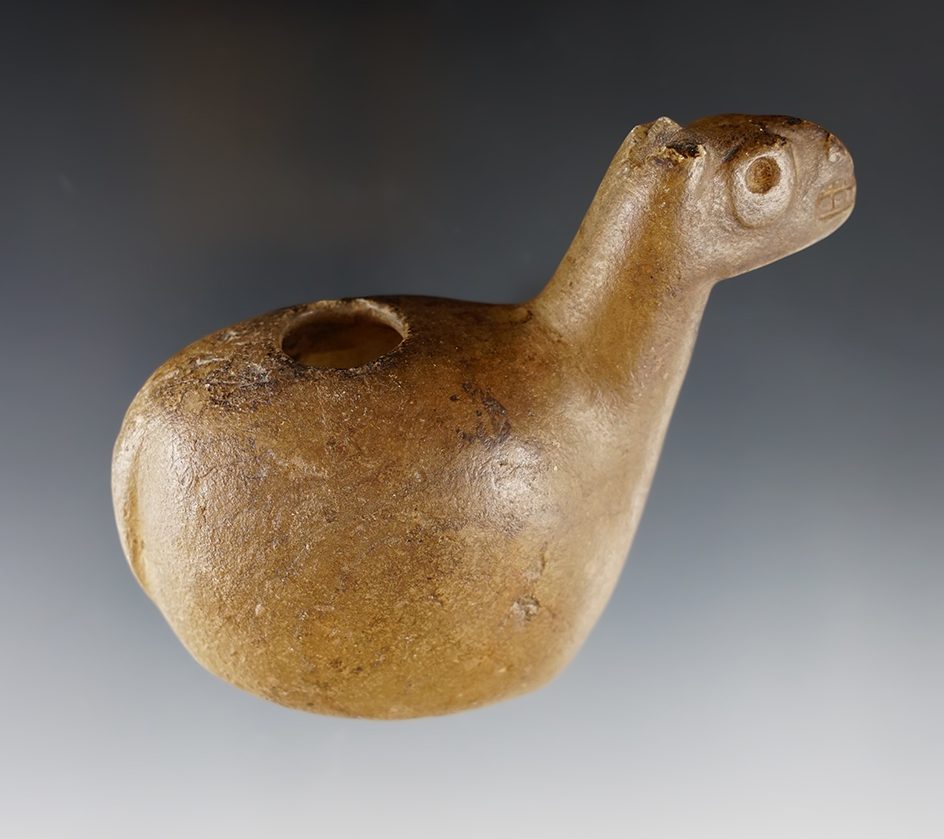 Main artifact image