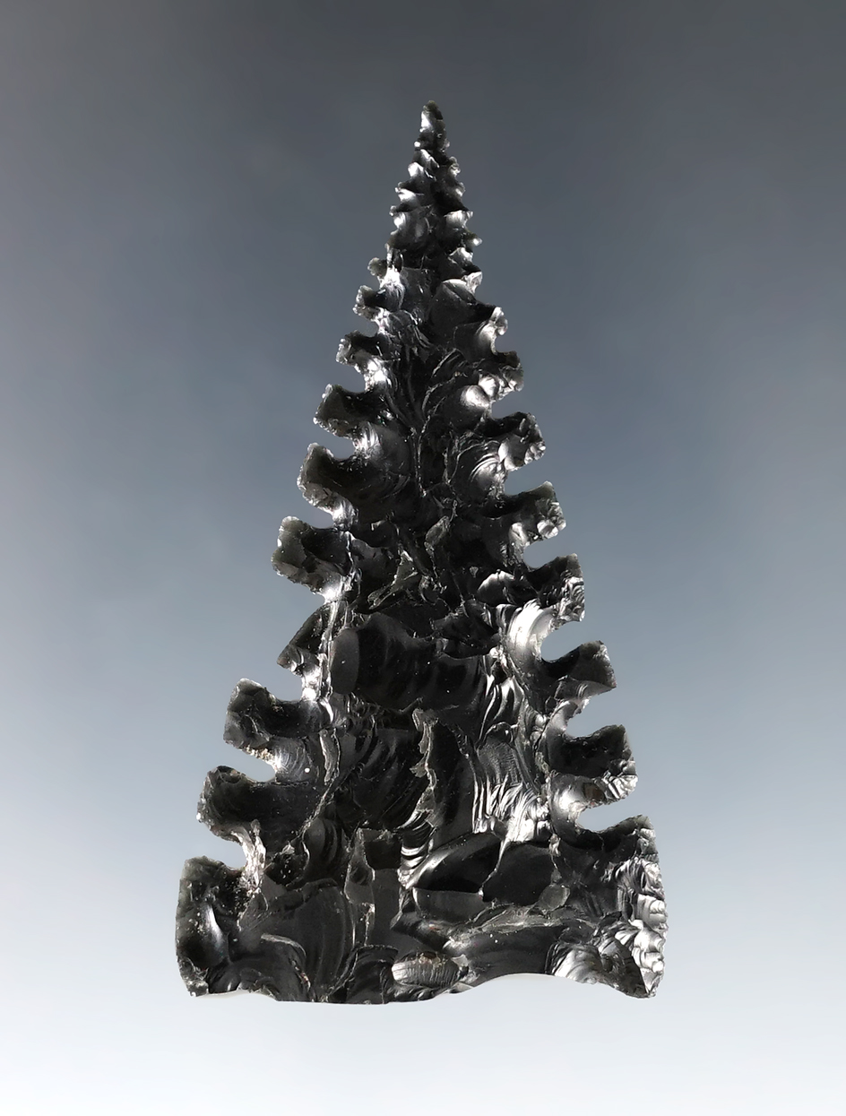 Main artifact image