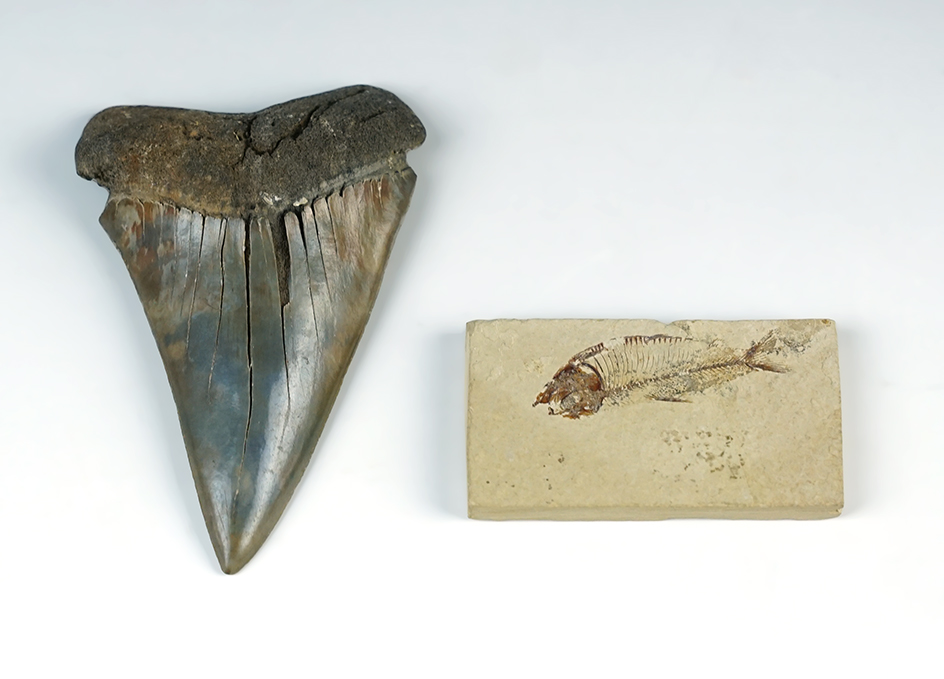 Main artifact image
