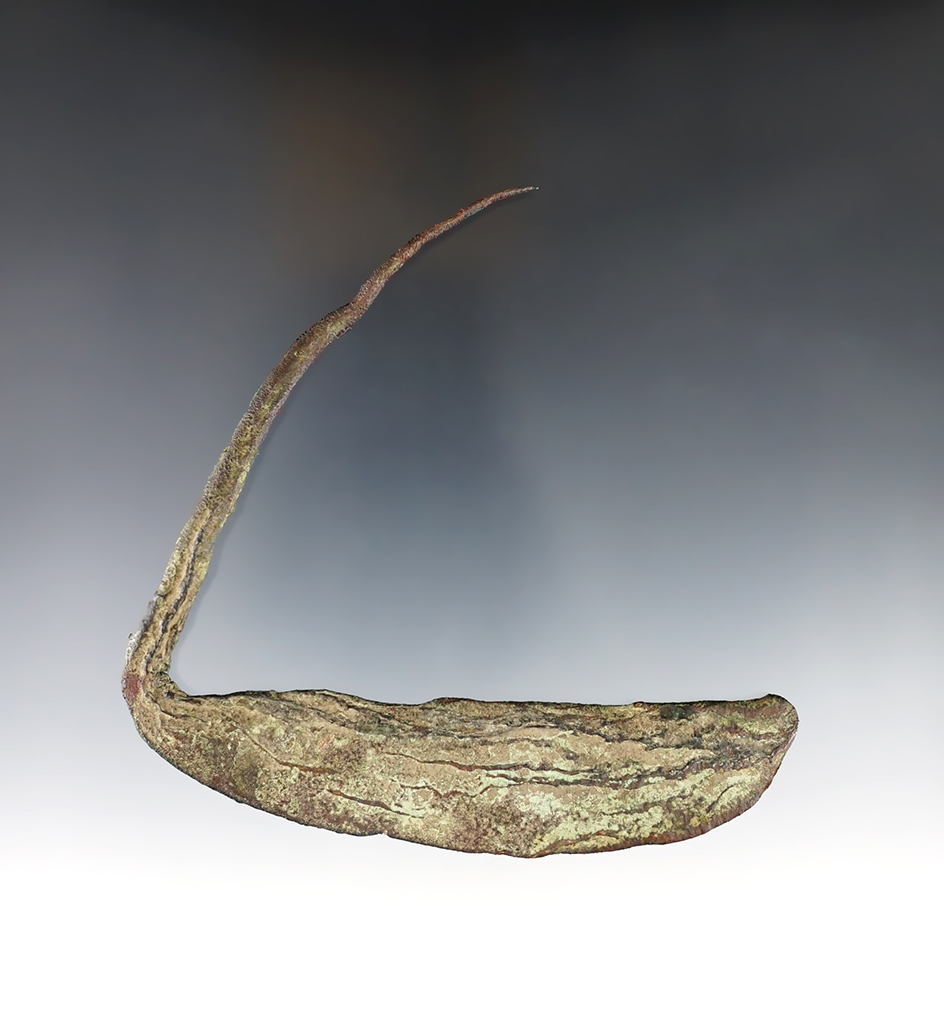Main artifact image