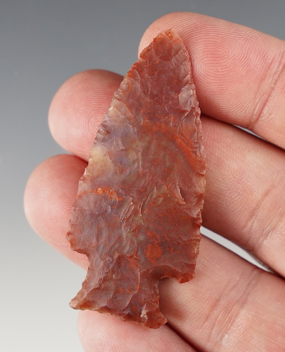 Main artifact image
