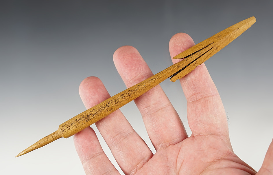 Main artifact image