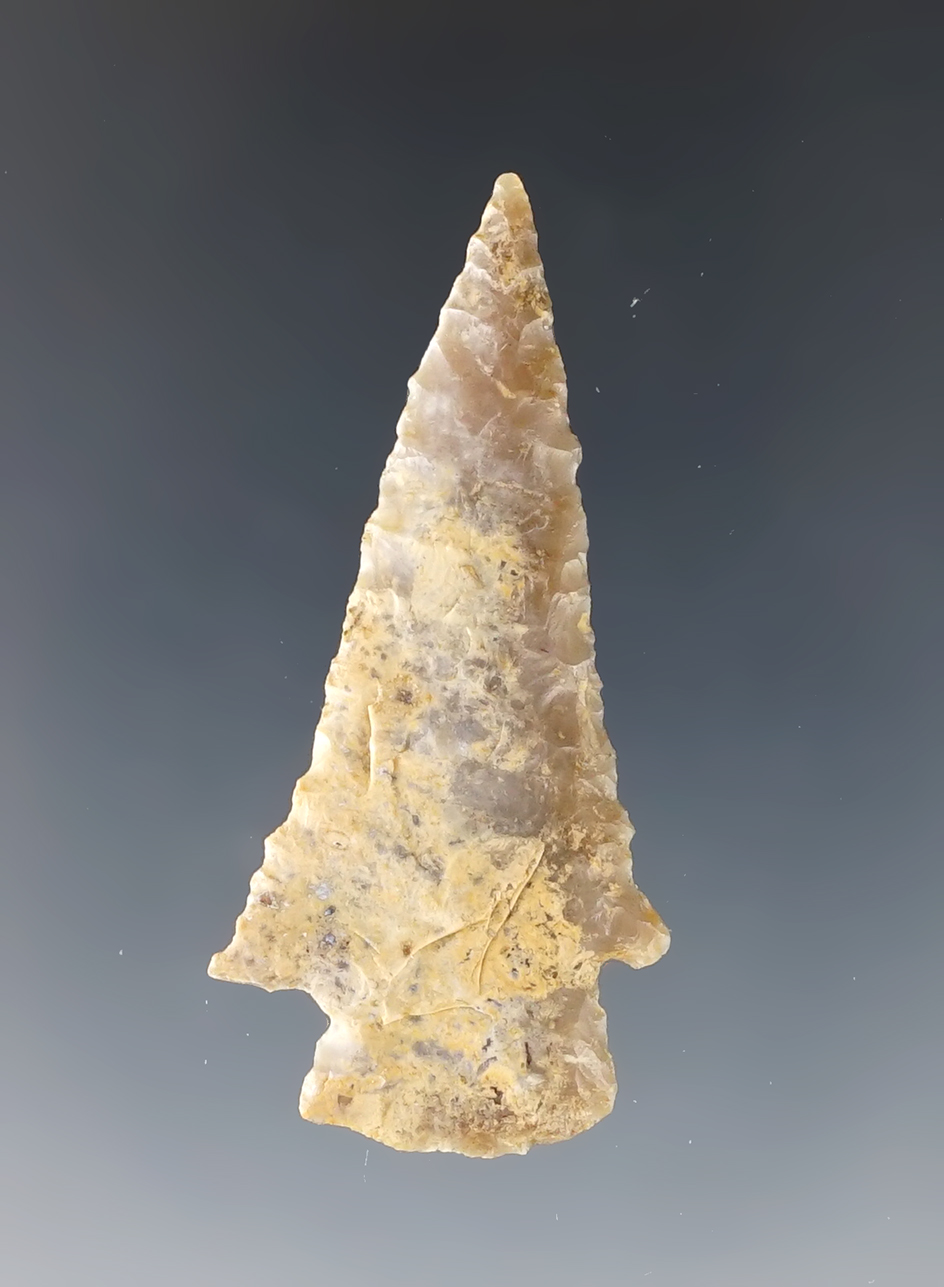 Main artifact image