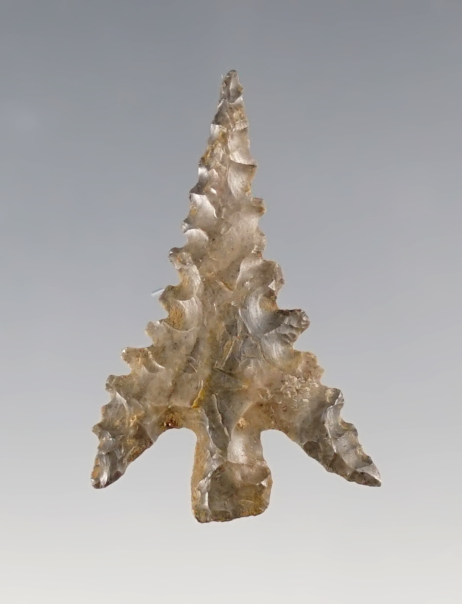 Main artifact image
