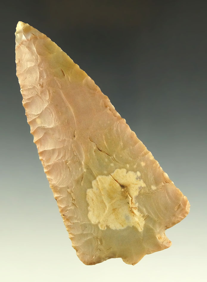 Main artifact image