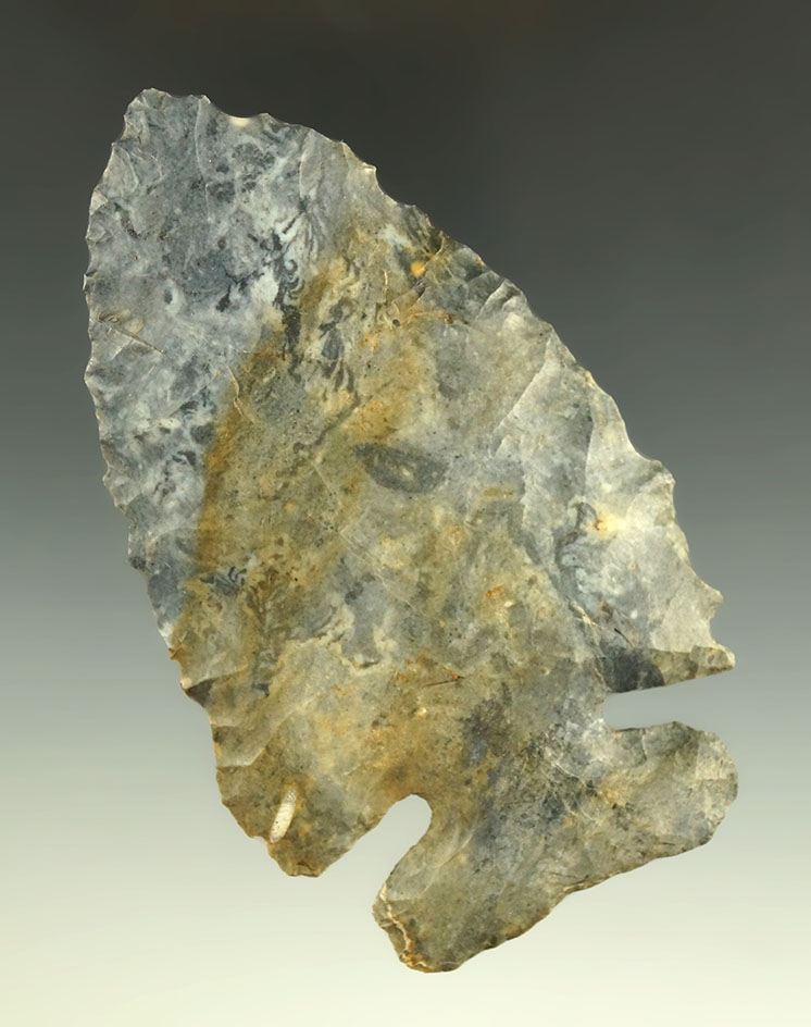 Main artifact image