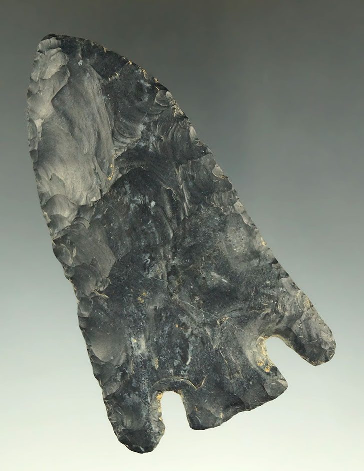 Main artifact image
