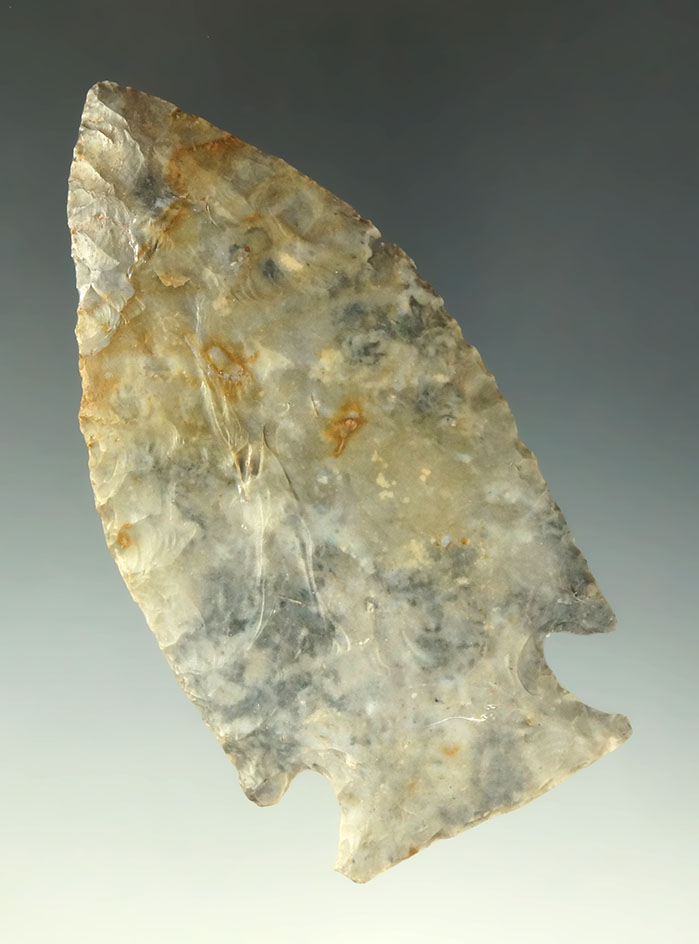 Main artifact image