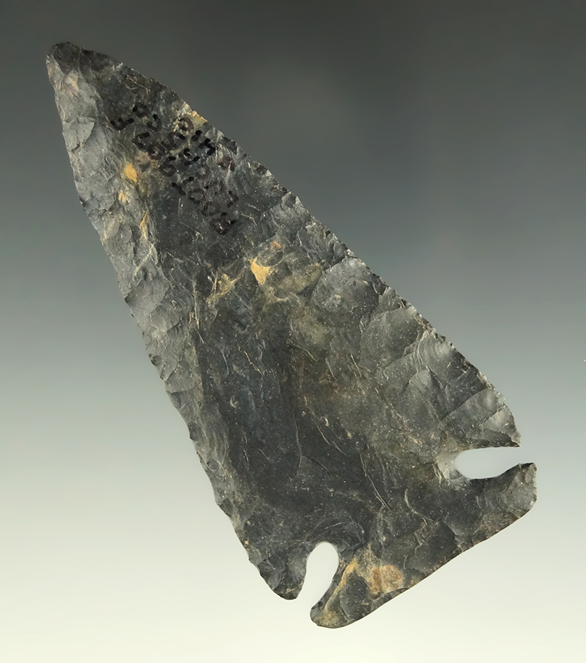 Main artifact image
