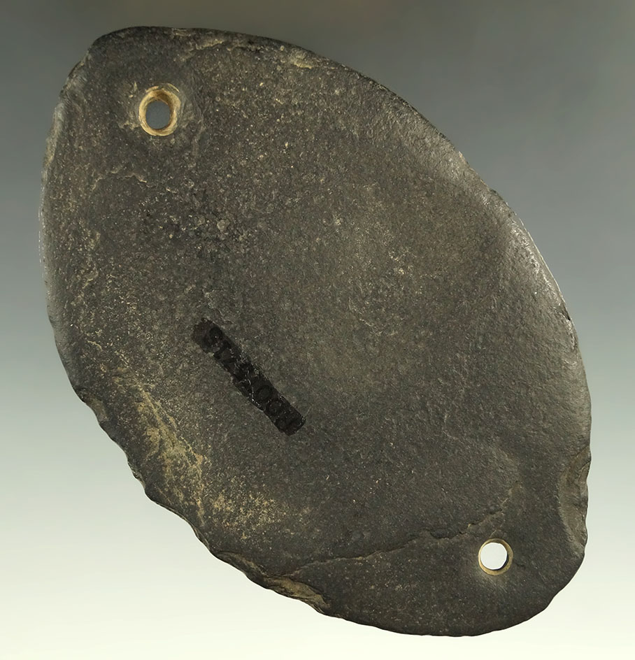 Main artifact image