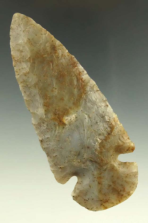Main artifact image