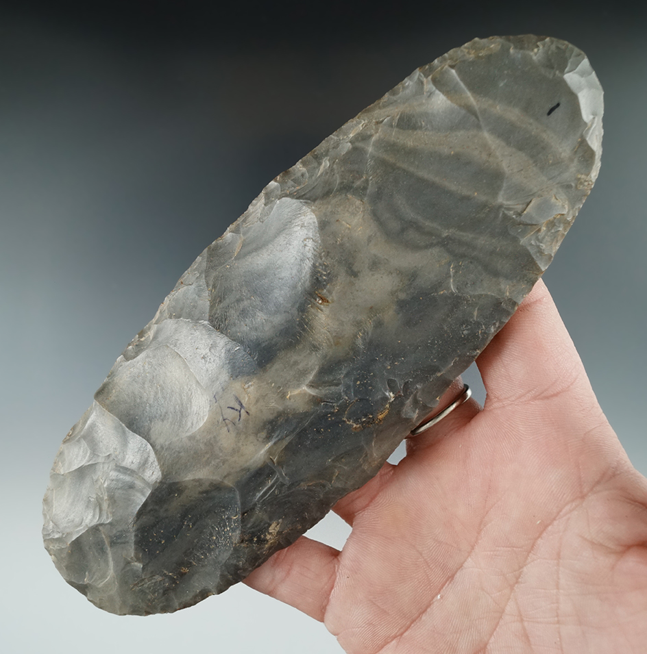 Main artifact image