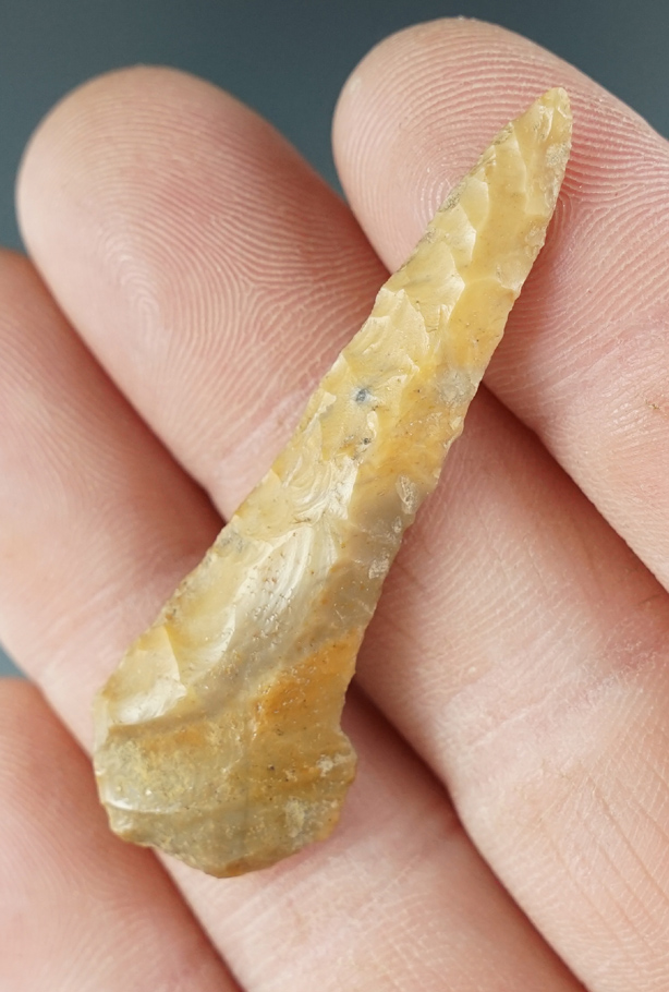 Main artifact image