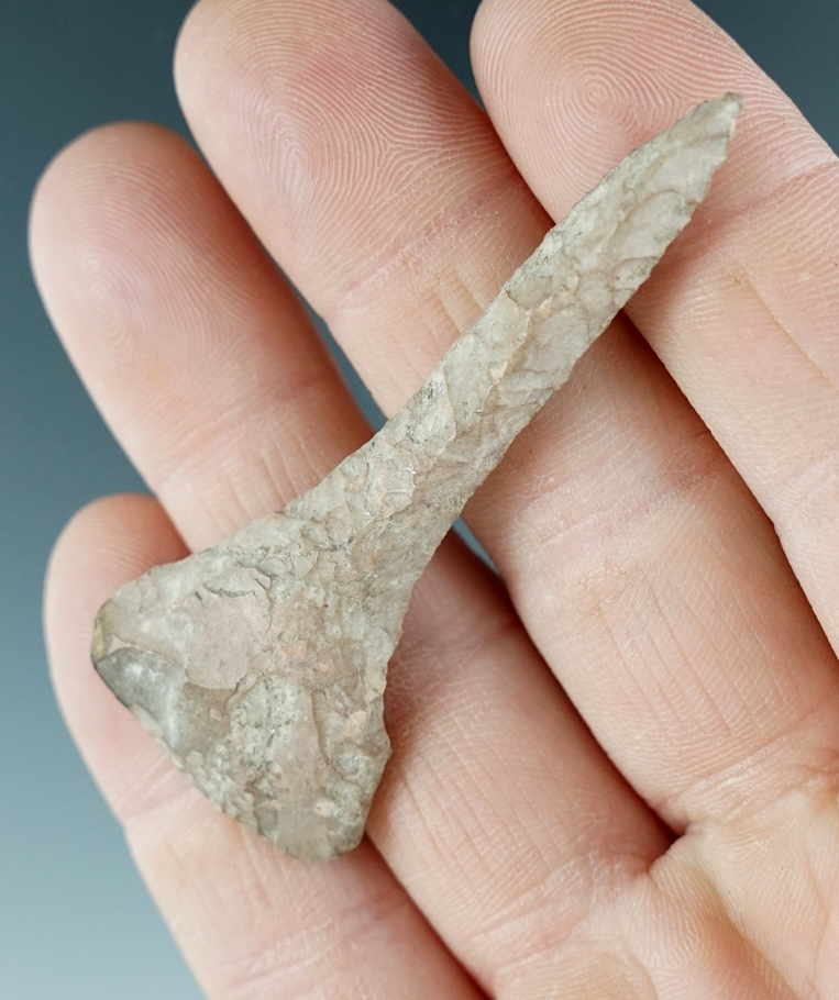Main artifact image