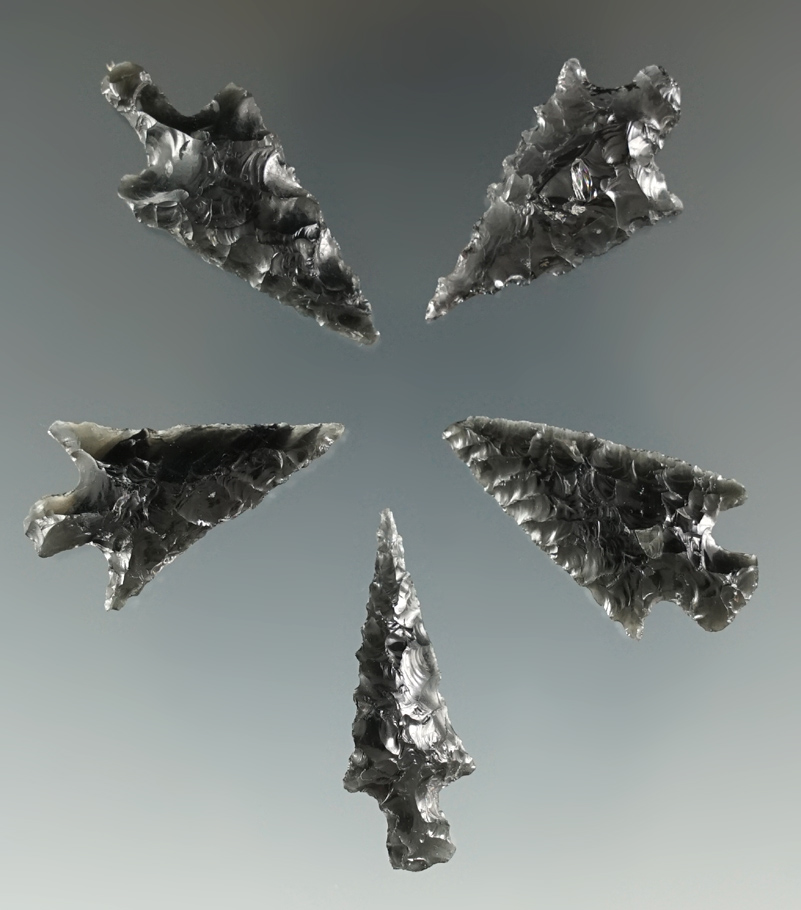 Set of 5 Great Basin Obsidian Points. Longest is 1 1/4".